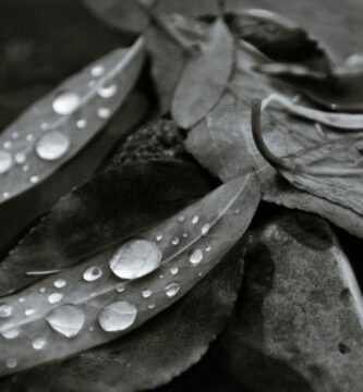 Manguera para jardin