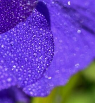 Manguera para jardin