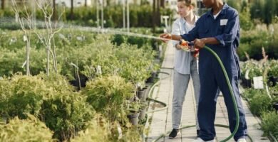 Manguera para jardin