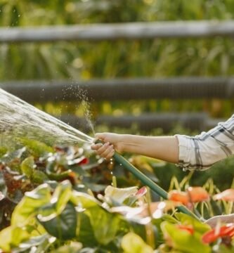 Manguera para jardin