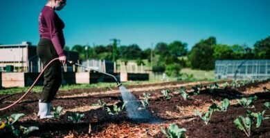 Manguera para jardin