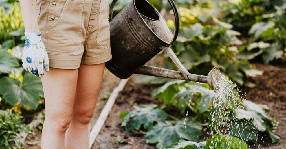 mangueras para jardin 30 metros