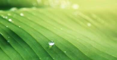 mangueras para jardin 15 metros