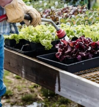 mangueras extensibles para jardin