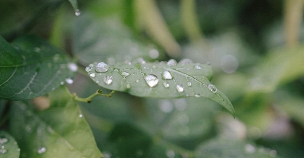 Manguera para jardin