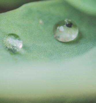 Manguera para jardin