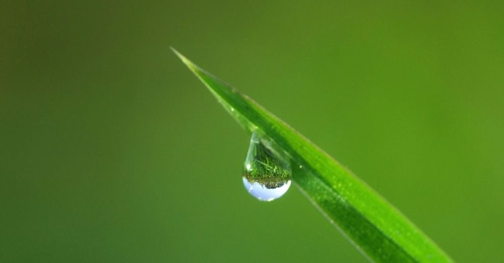 Manguera para jardin