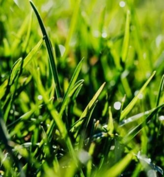 Manguera para jardin