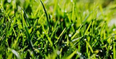 Manguera para jardin