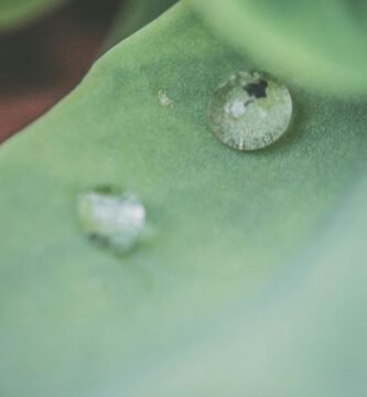 Manguera para jardin