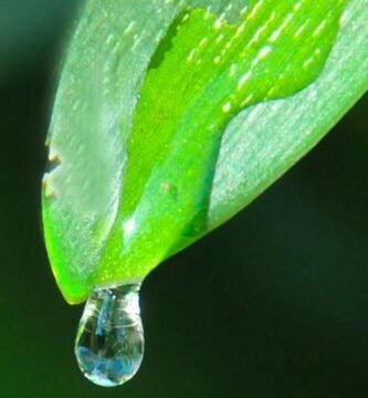 Manguera para jardin