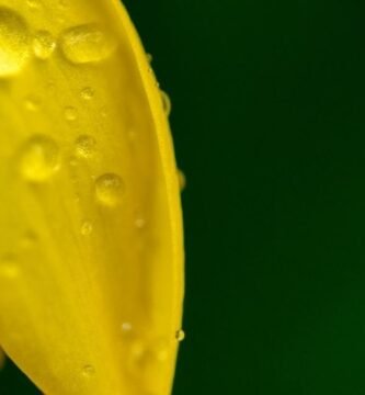 Manguera para jardin