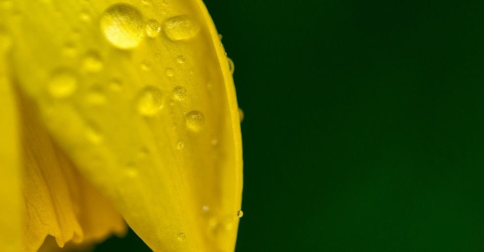 Manguera para jardin