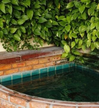Manguera para jardin
