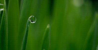 Manguera para jardin