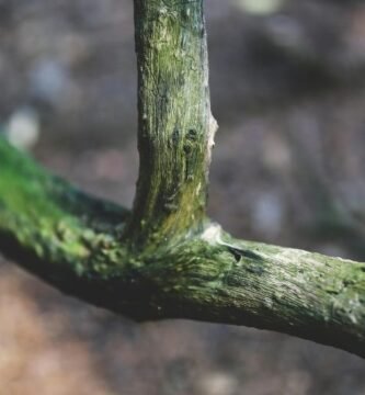 Manguera para jardin