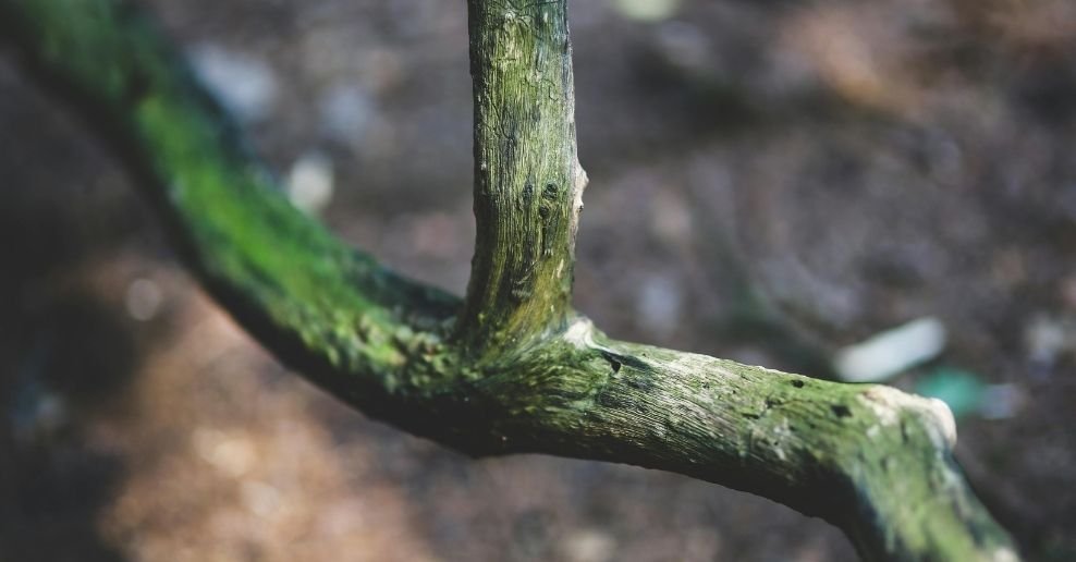 Manguera para jardin