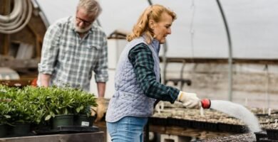 ¿Cómo cuidar una manguera de jardín?