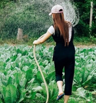 ¿Cómo se debe regar un jardín?