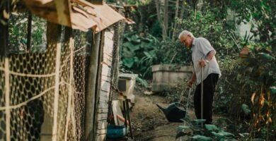 ¿Cómo se llama el riego por manguera?